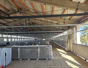 Rekonstrukce haly na farmě chovu prasat